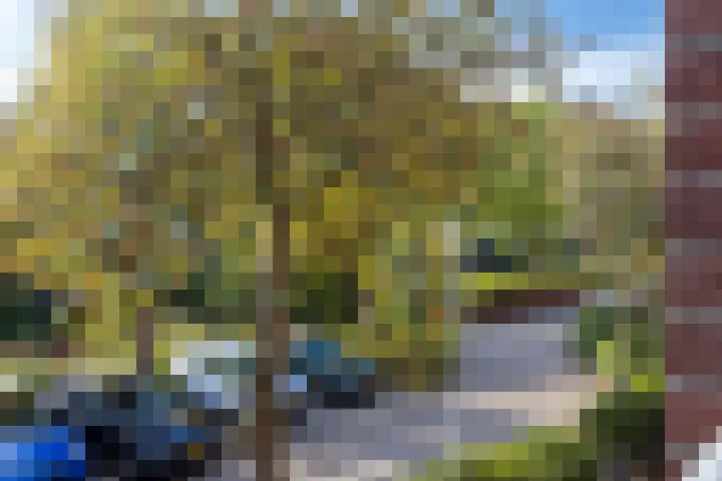 Boeierstraat 28 Alkmaar thumbnail 21