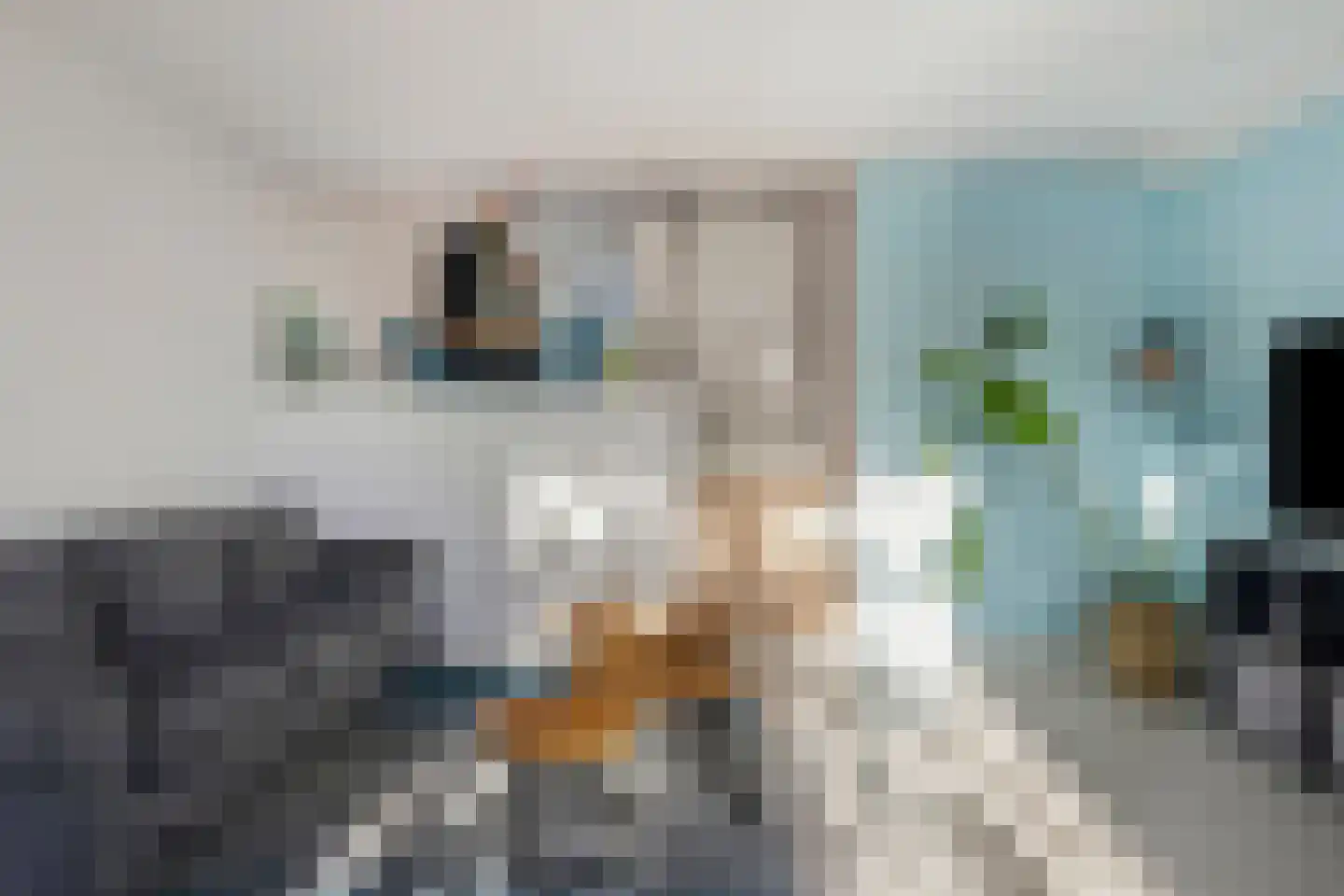 Boeierstraat 28 Alkmaar thumbnail 22