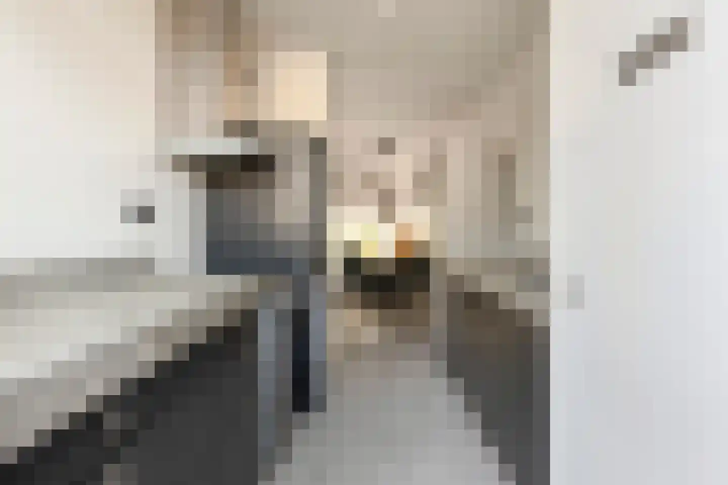 Boeierstraat 28 Alkmaar thumbnail 32