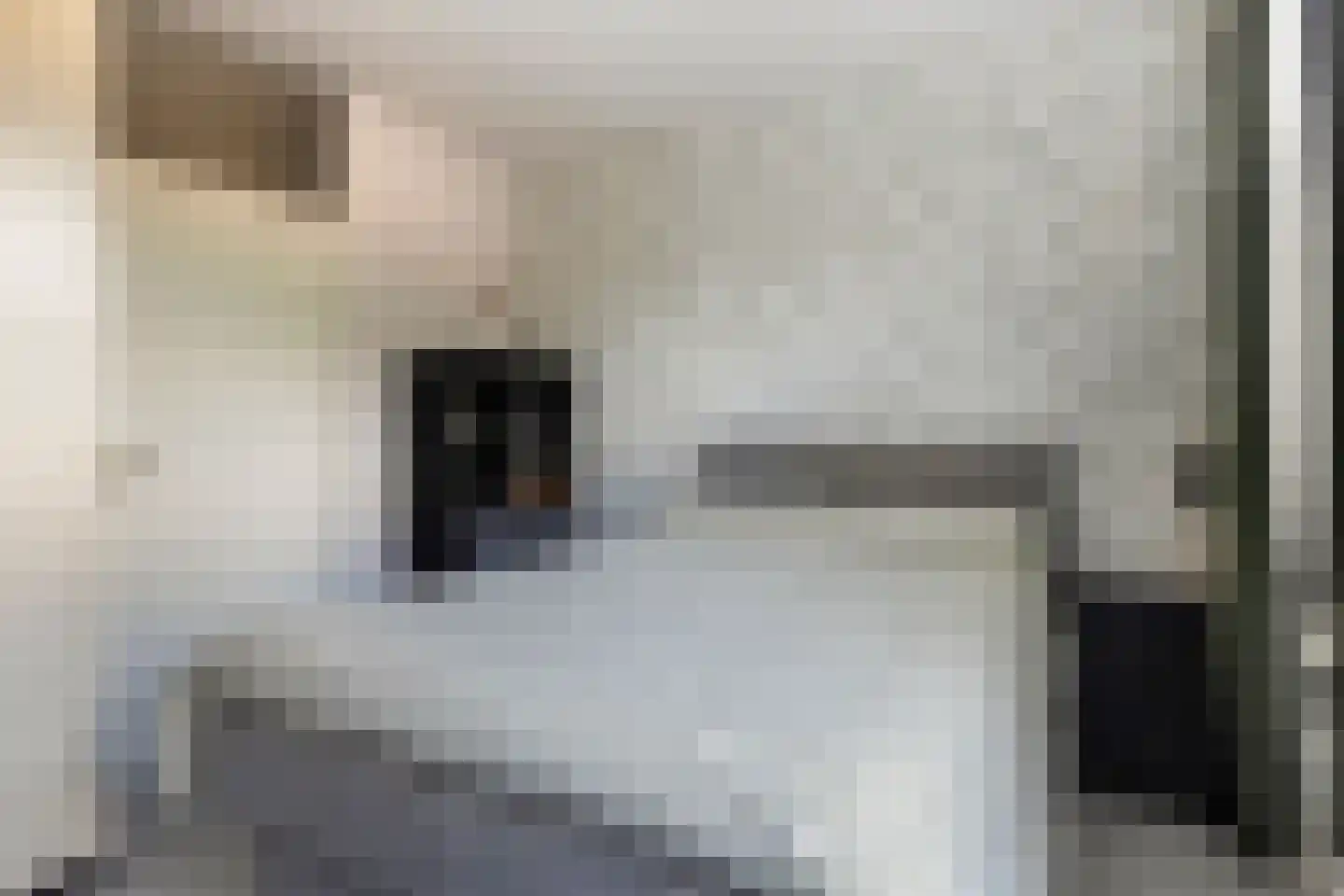 Boeierstraat 28 Alkmaar thumbnail 37