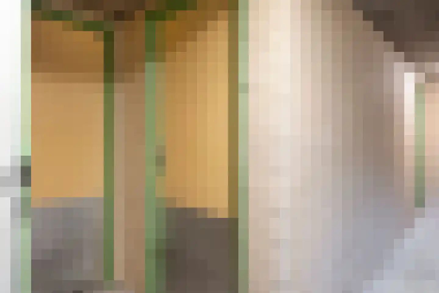 Boeierstraat 28 Alkmaar thumbnail 42