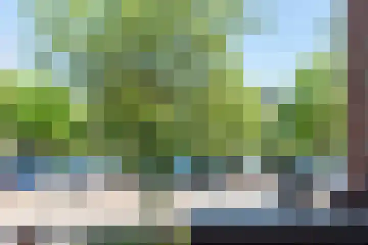 Boeierstraat 31 Alkmaar thumbnail 25