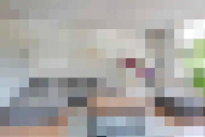 Boeierstraat 31 Alkmaar thumbnail 8