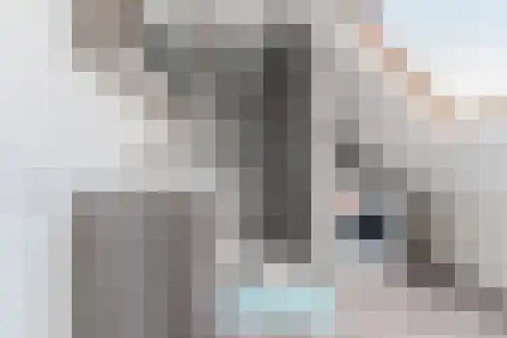 Boeierstraat 32 Alkmaar thumbnail 4