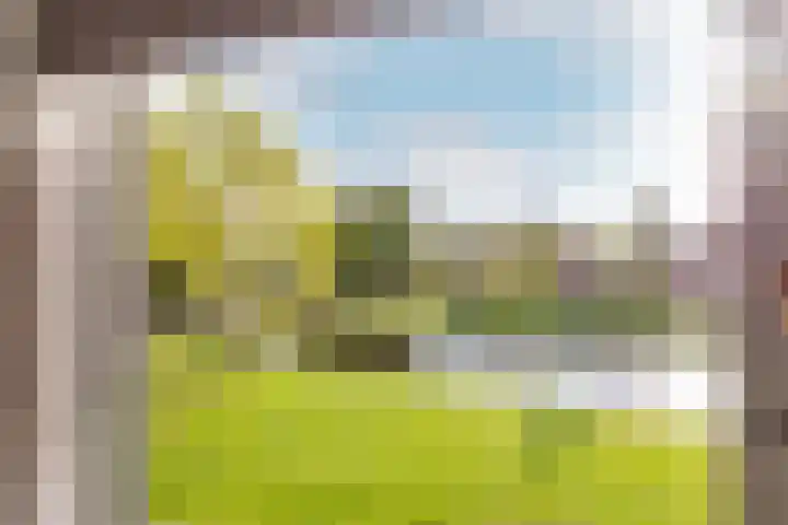 Boeierstraat 93 Purmerend thumbnail 5