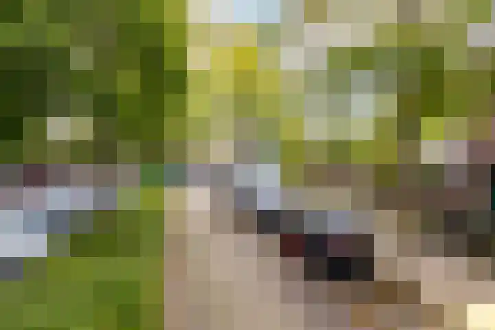 Boeierstraat 93 Purmerend thumbnail 6