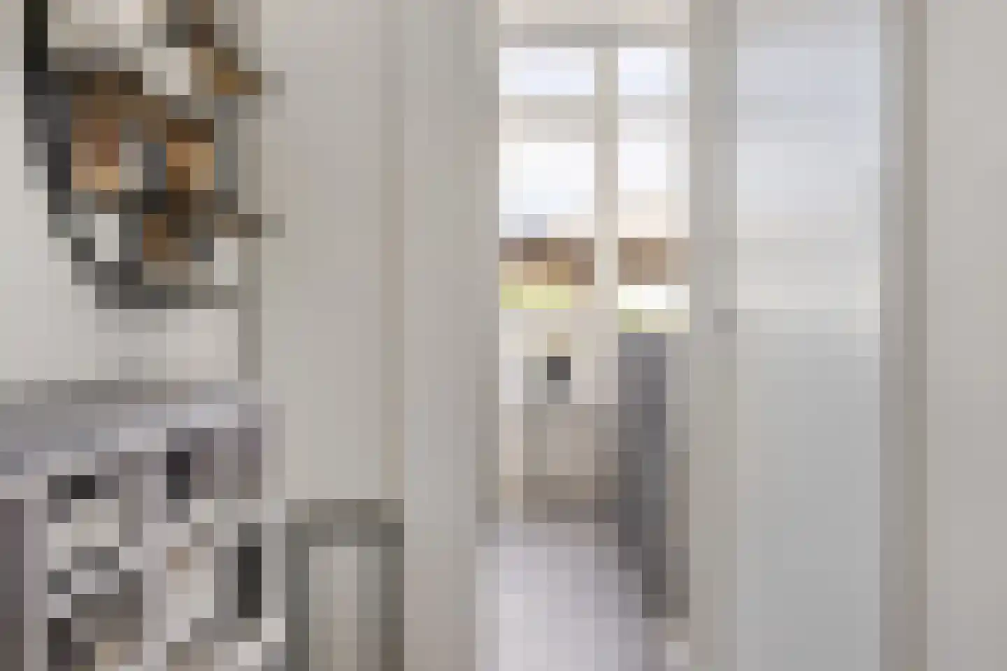 Boeijengastrjitte 18 H Gauw thumbnail 22