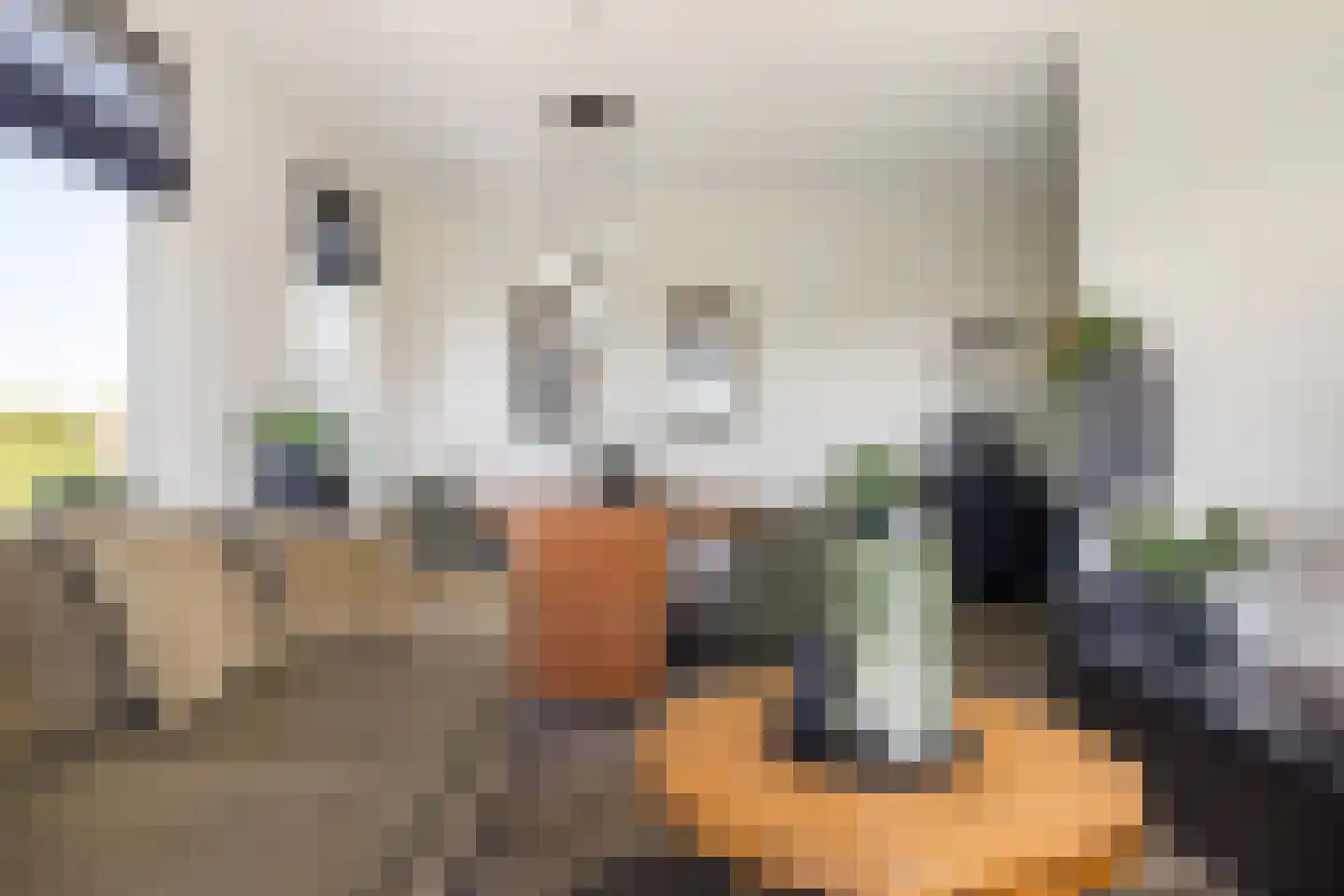 Boeijengastrjitte 18 H Gauw thumbnail 29