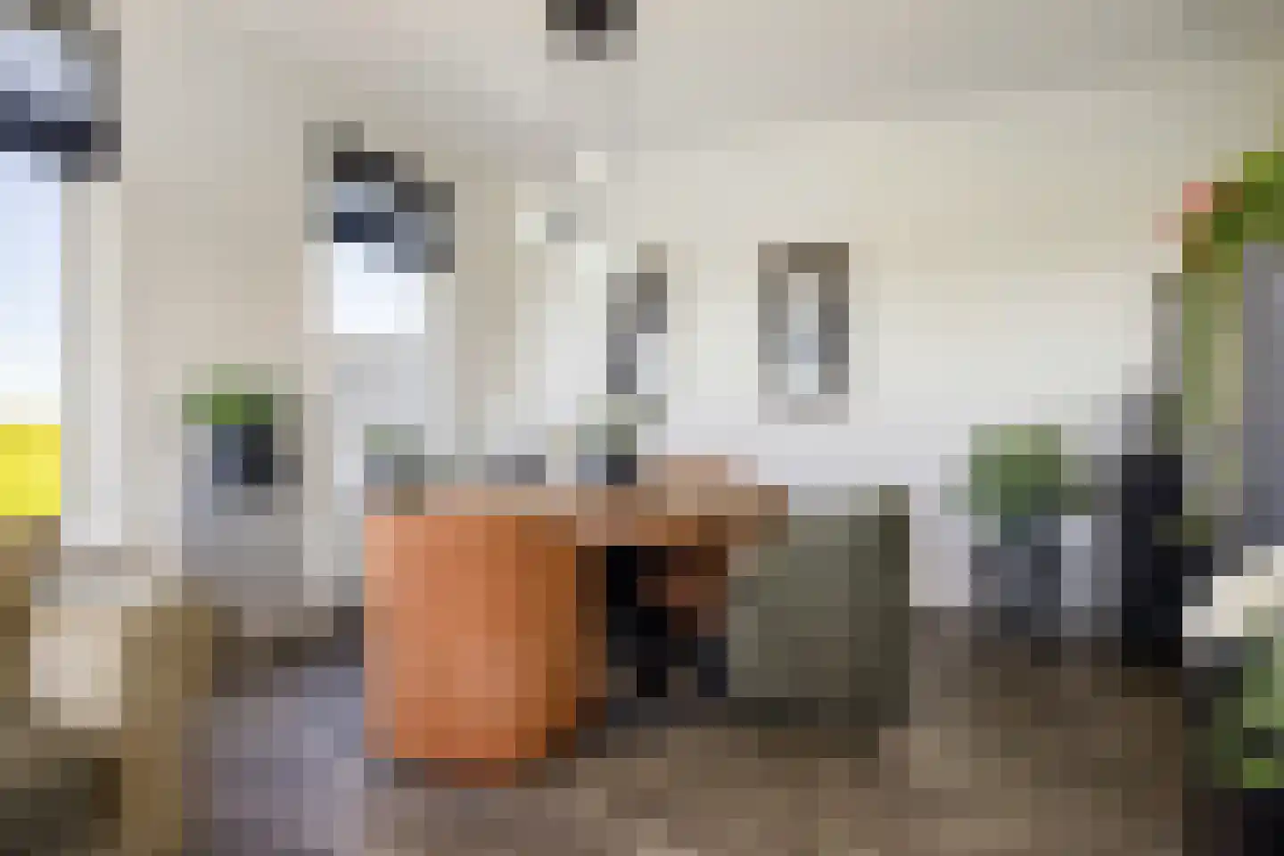 Boeijengastrjitte 18 H Gauw thumbnail 30