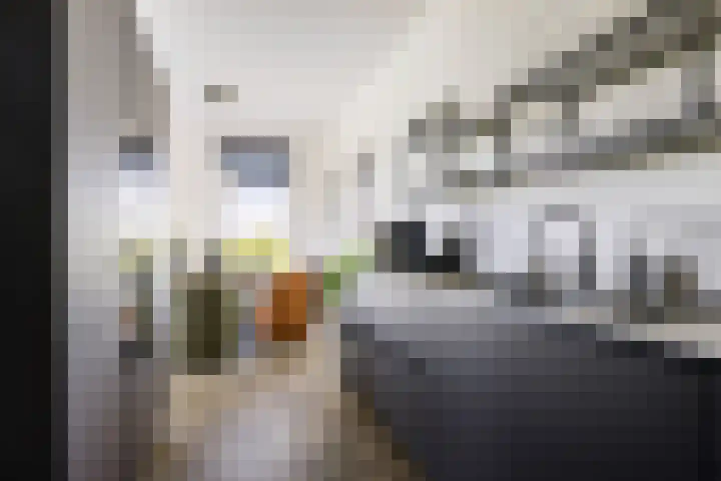 Boeijengastrjitte 18 H Gauw thumbnail 35