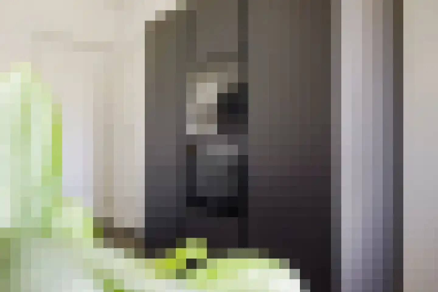 Boeijengastrjitte 18 H Gauw thumbnail 36