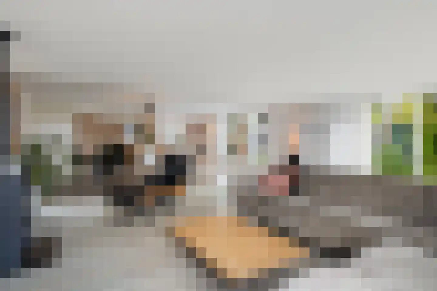 Boeijengastrjitte 28 Gauw thumbnail 21