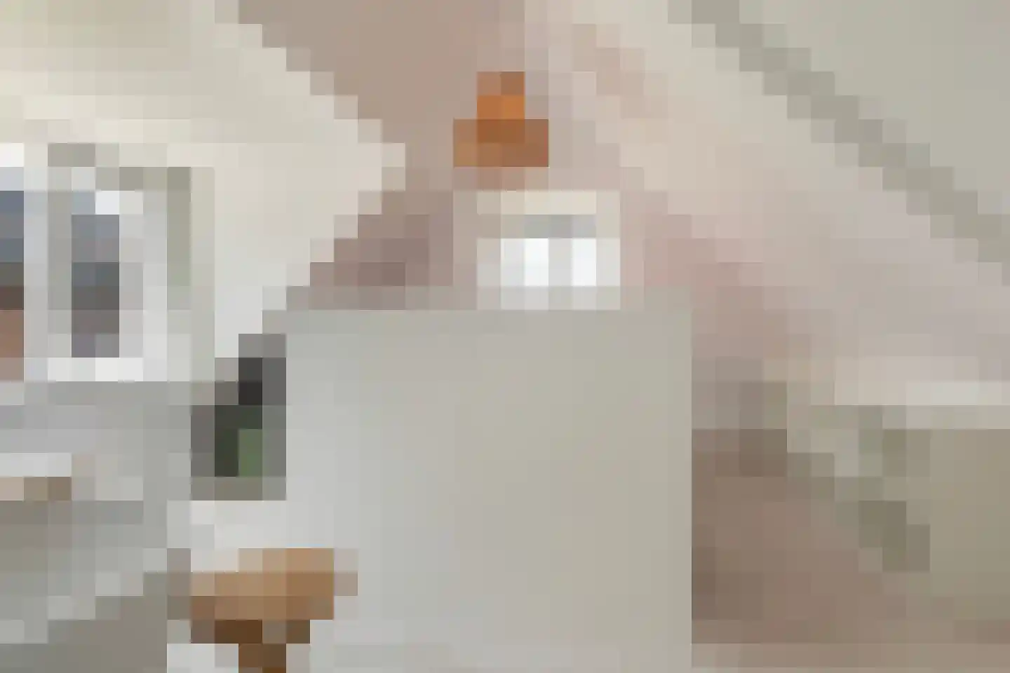 Boeijengastrjitte 28 Gauw thumbnail 34