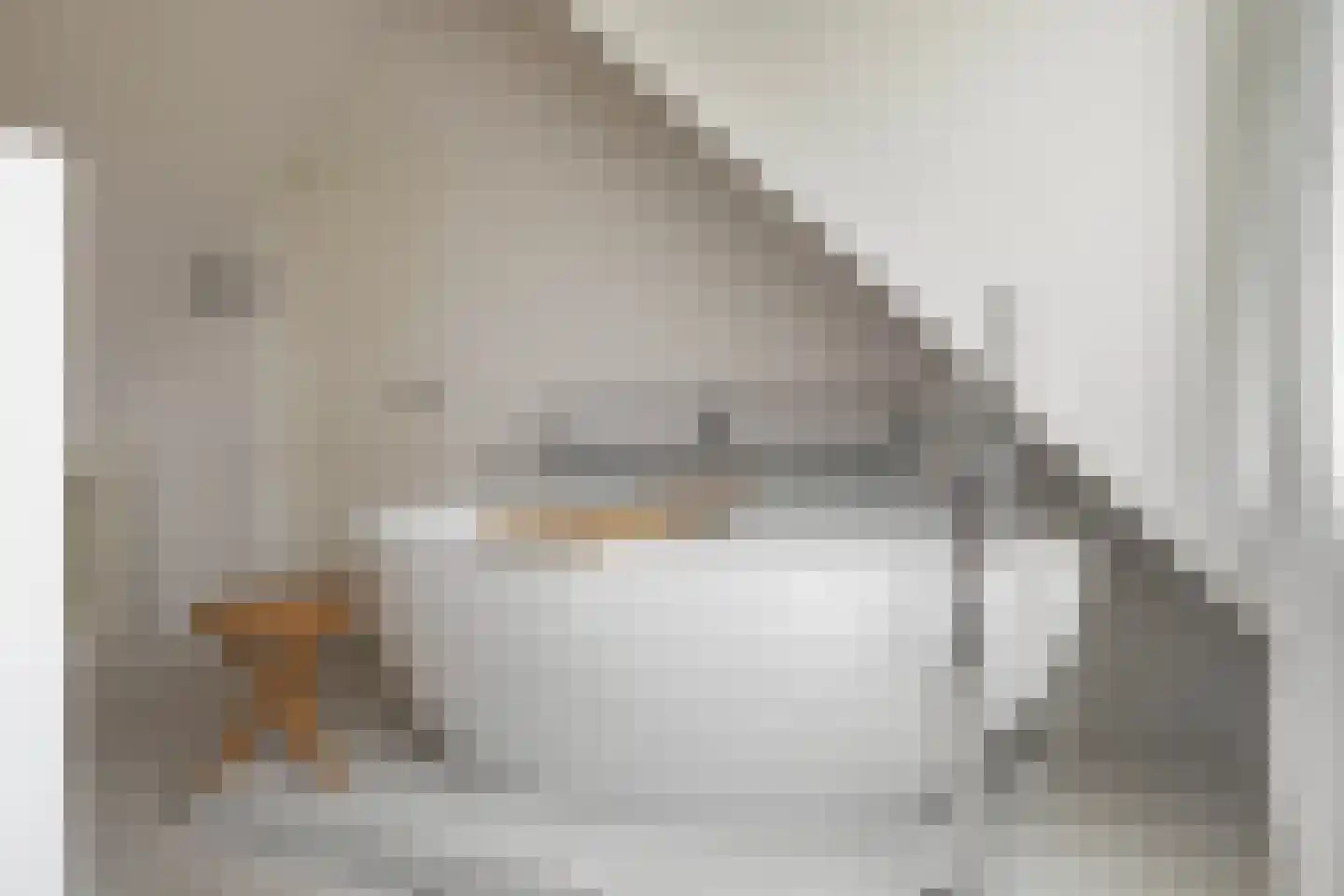 Boeijengastrjitte 28 Gauw thumbnail 35