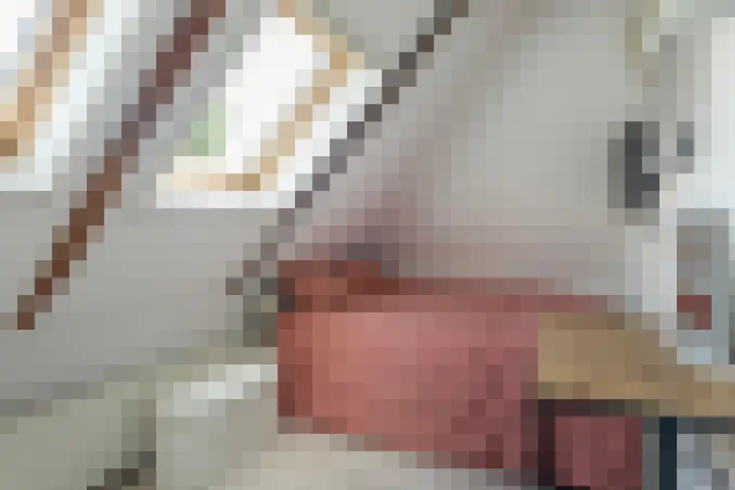 Boeijengastrjitte 28 Gauw thumbnail 42