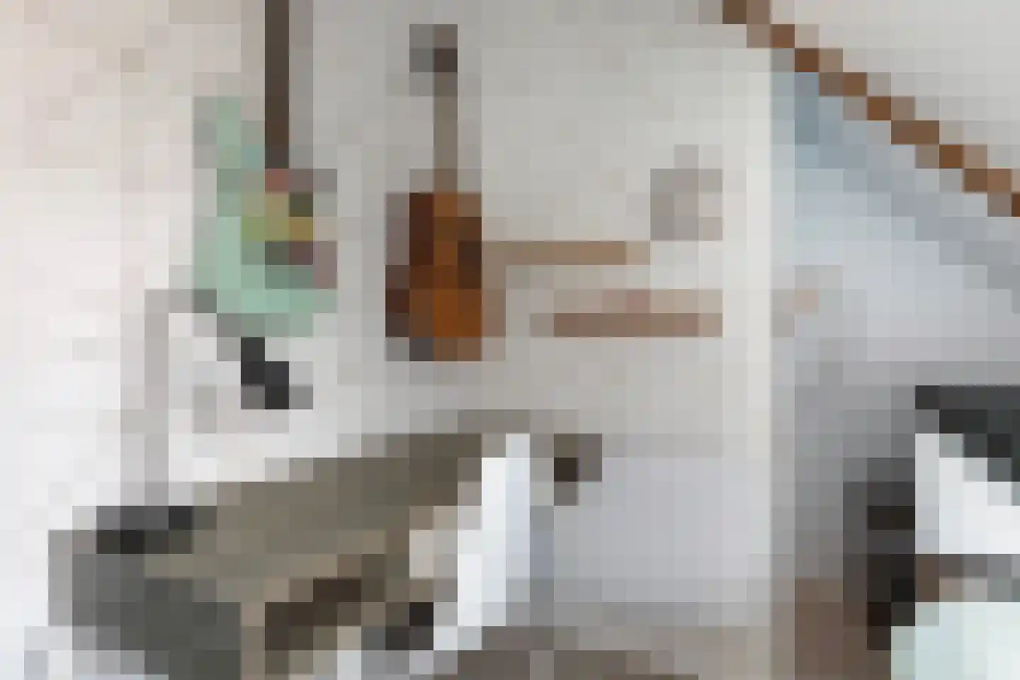 Boeijengastrjitte 28 Gauw thumbnail 44