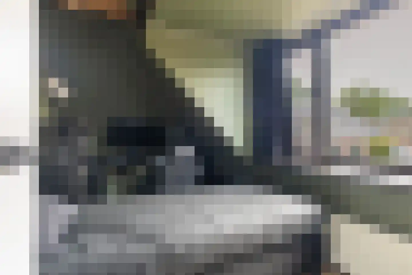 Boeijengastrjitte 28 Gauw thumbnail 45