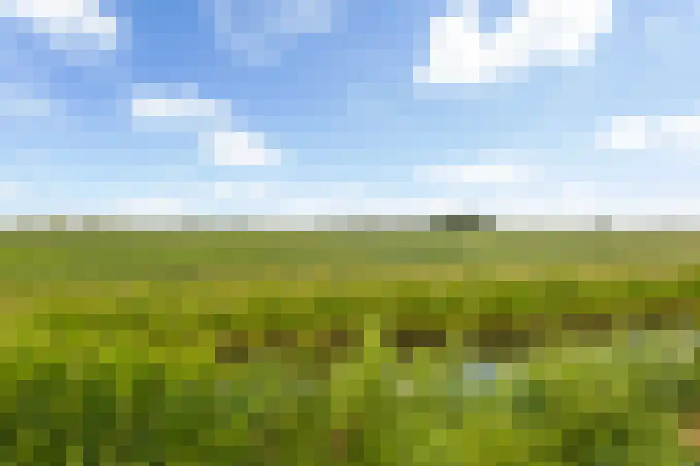 Boeijengastrjitte 28 Gauw thumbnail 62