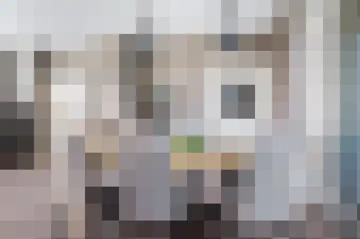 Boeijengastrjitte 30 A Gauw thumbnail 11