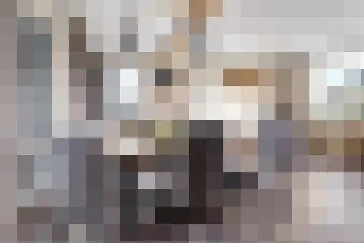Boeijengastrjitte 30 A Gauw thumbnail 12