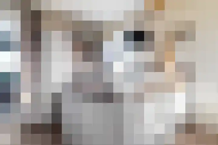 Boeijengastrjitte 30 A Gauw thumbnail 17