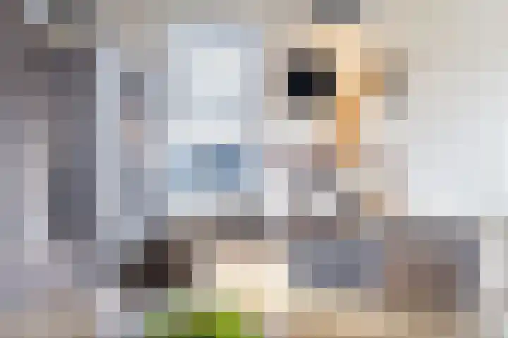 Boeijengastrjitte 30 A Gauw thumbnail 19