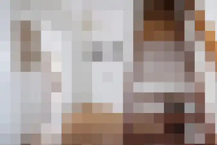 Boeijengastrjitte 30 A Gauw thumbnail 31