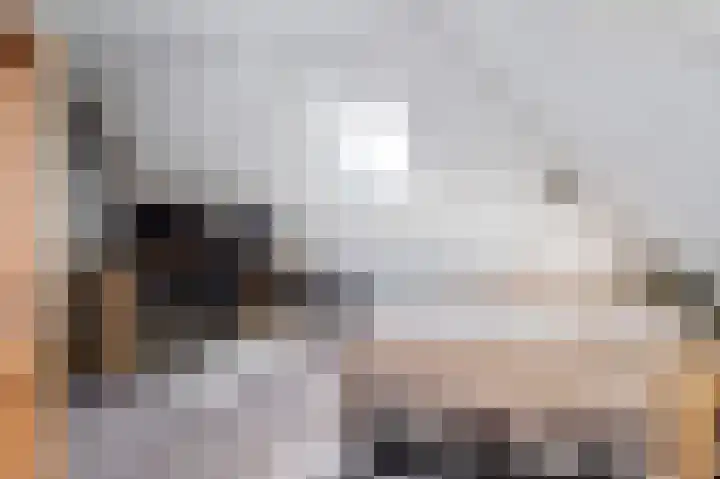 Boeijengastrjitte 30 A Gauw thumbnail 35
