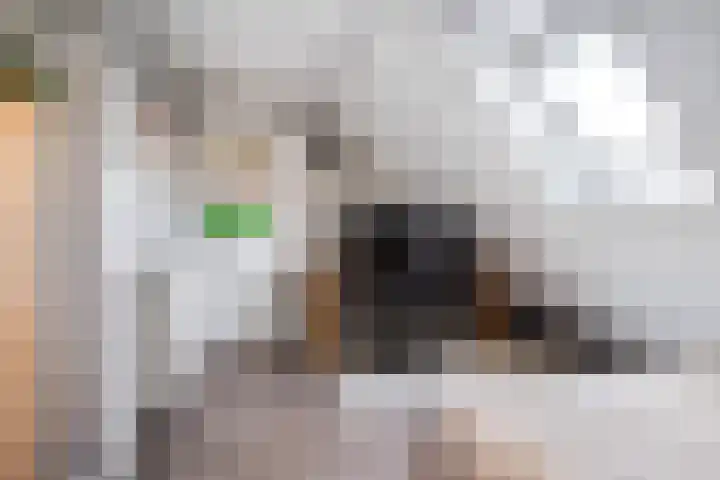 Boeijengastrjitte 30 A Gauw thumbnail 36