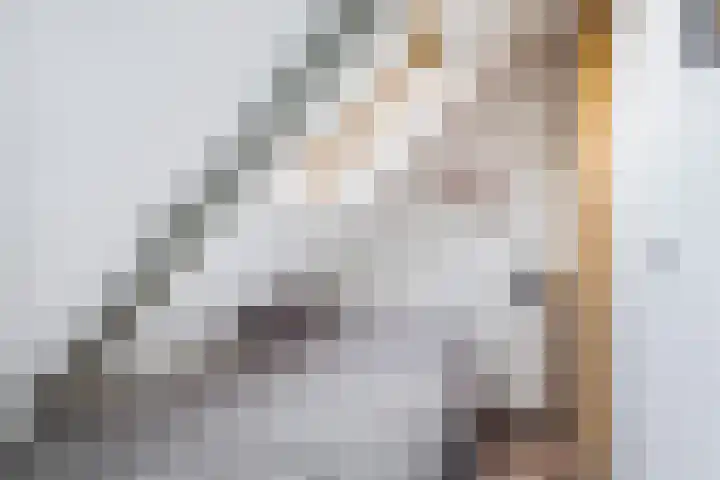Boeijengastrjitte 30 A Gauw thumbnail 38