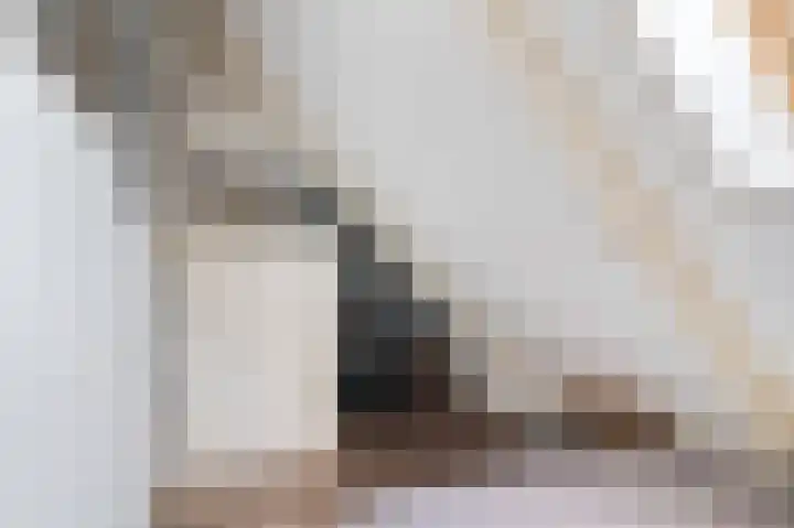 Boeijengastrjitte 30 A Gauw thumbnail 39