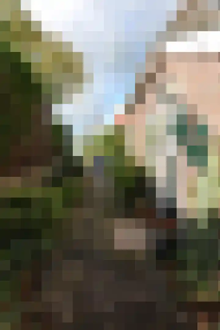 Boeijengastrjitte 31 Gauw thumbnail 13