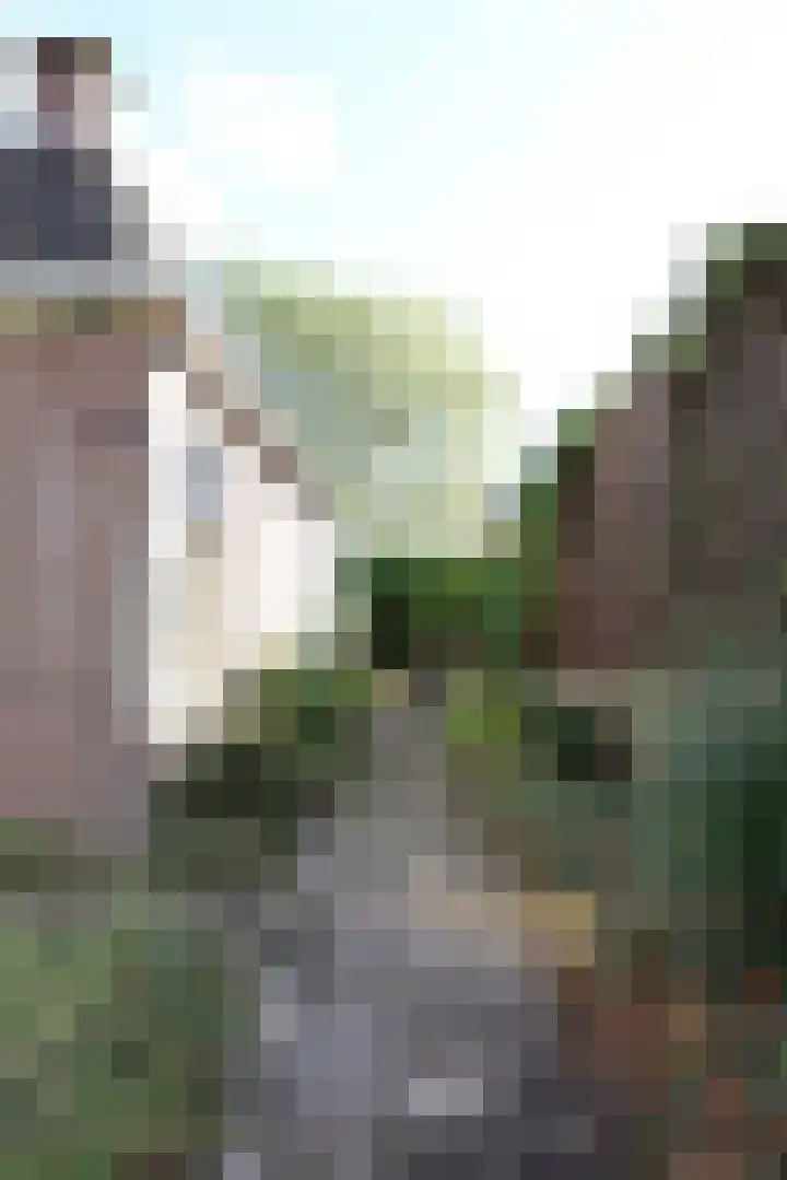 Boeijengastrjitte 31 Gauw thumbnail 14