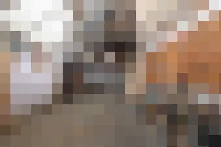 Boeijengastrjitte 31 Gauw thumbnail 40