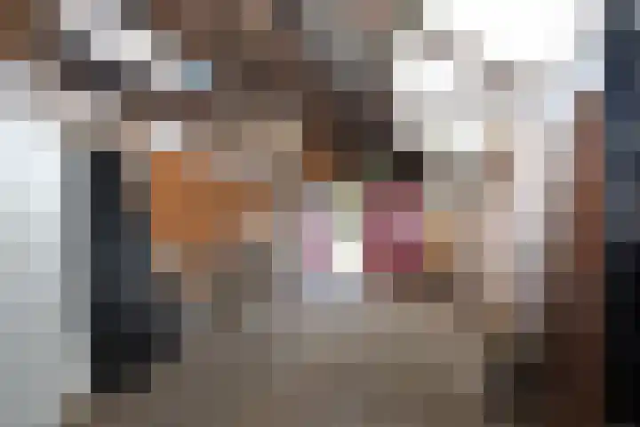 Boeijengastrjitte 31 Gauw thumbnail 41