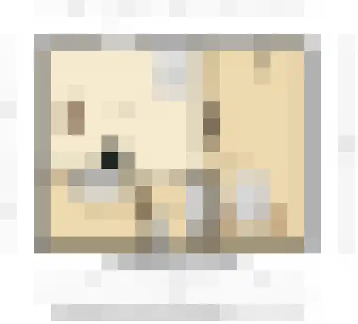 Boeijengastrjitte 31 Gauw thumbnail 44