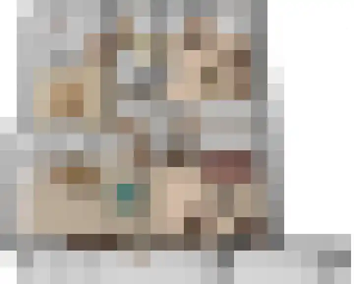 Boeijengastrjitte 31 Gauw thumbnail 47