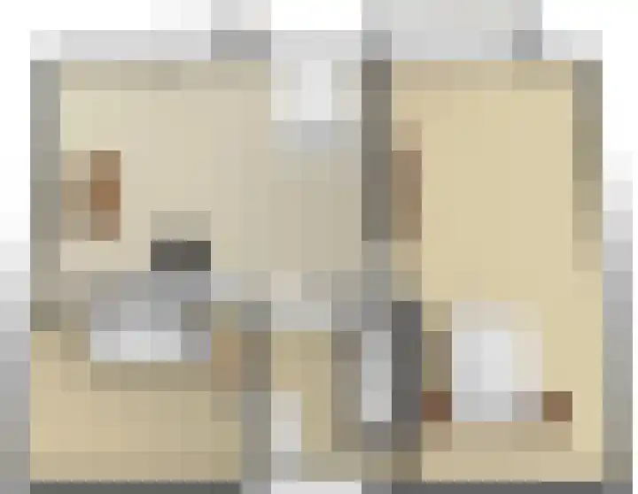 Boeijengastrjitte 31 Gauw thumbnail 48