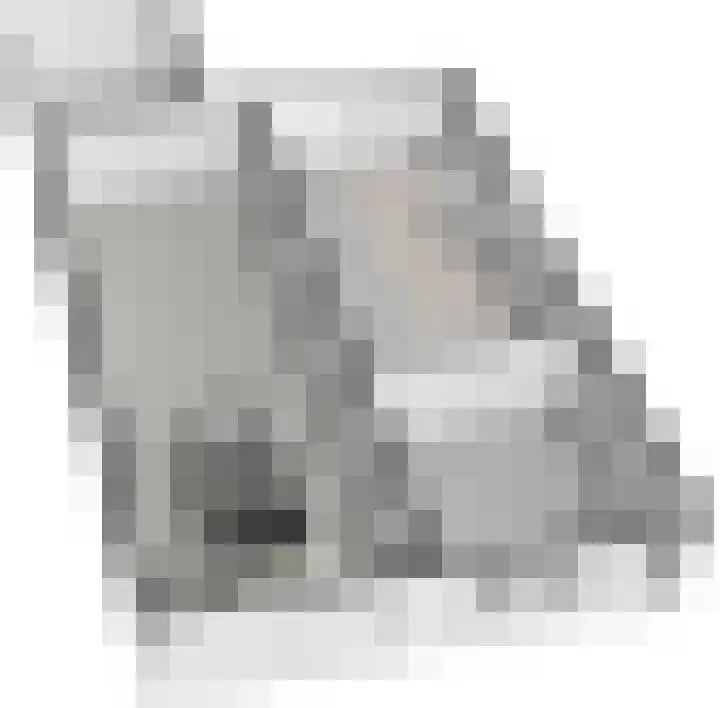 Boeijengastrjitte 31 Gauw thumbnail 49