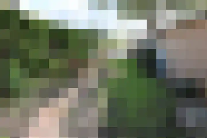 Boeijengastrjitte 31 Gauw thumbnail 5