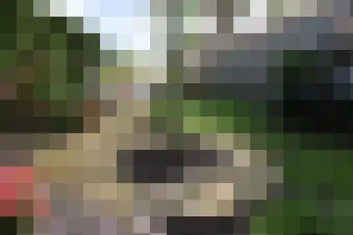Boeijengastrjitte 31 Gauw thumbnail 6