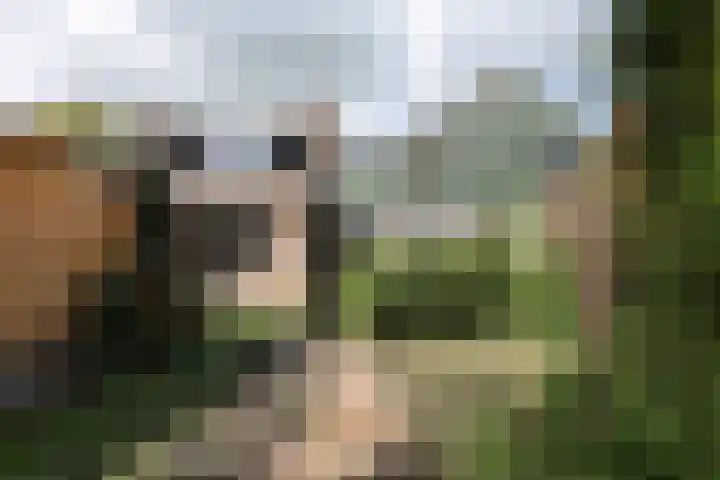 Boeijengastrjitte 31 Gauw thumbnail 9