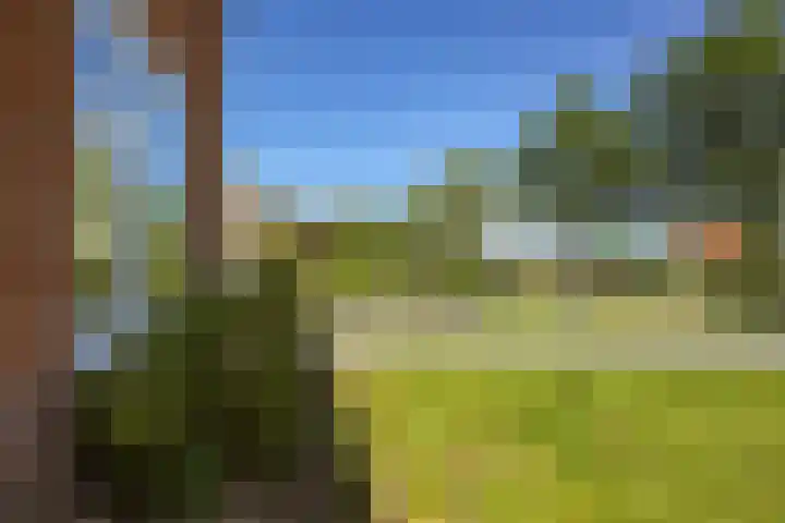 Boeijengastrjitte 72 Gauw thumbnail 11