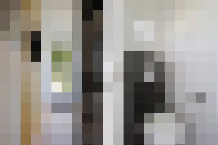 Boeijengastrjitte 72 Gauw thumbnail 14