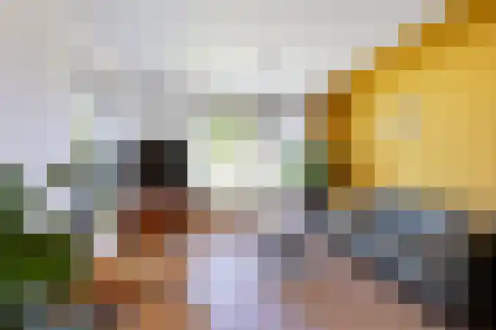 Boeijengastrjitte 72 Gauw thumbnail 15