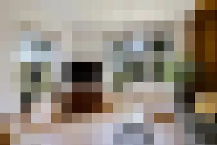 Boeijengastrjitte 72 Gauw thumbnail 17