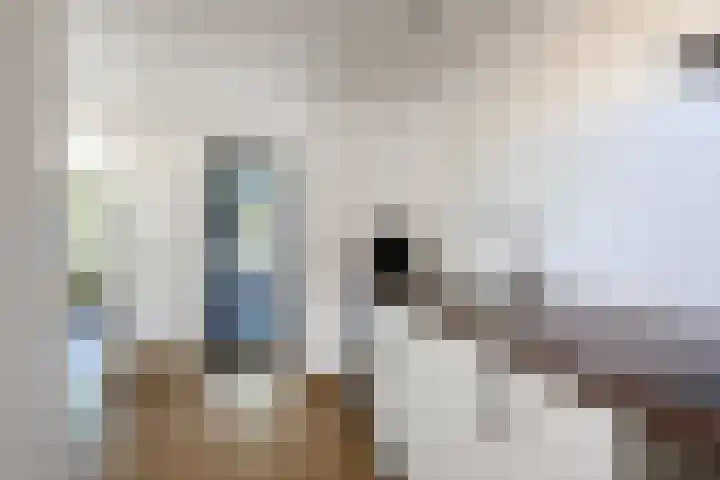 Boeijengastrjitte 72 Gauw thumbnail 19