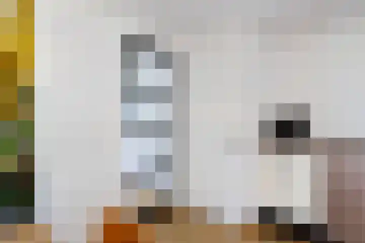 Boeijengastrjitte 72 Gauw thumbnail 20