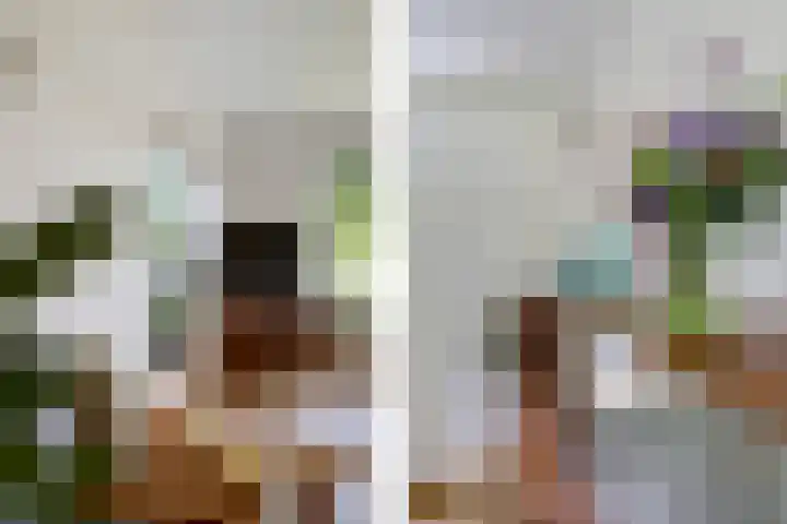 Boeijengastrjitte 72 Gauw thumbnail 22