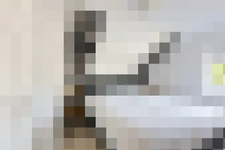 Boeijengastrjitte 72 Gauw thumbnail 25